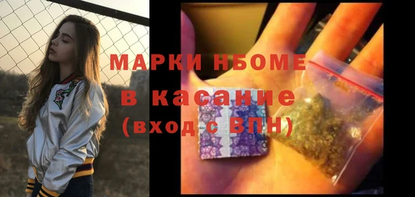 прущие грибы Богородск