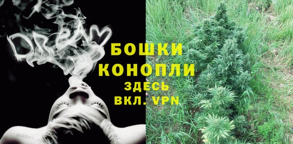прущие грибы Богородск