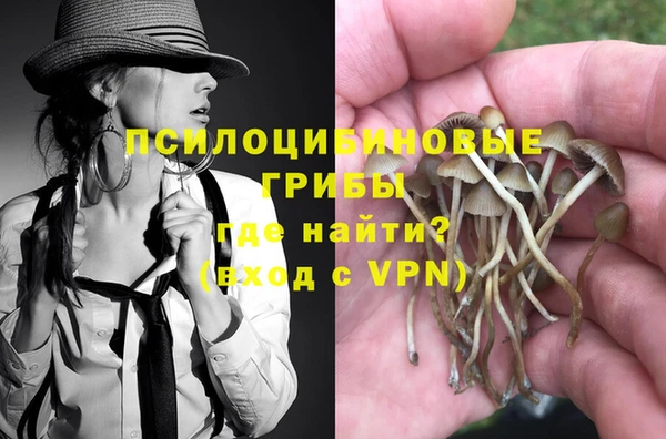 прущие грибы Богородск