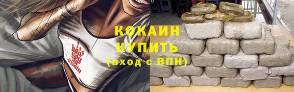 mdpv Белокуриха