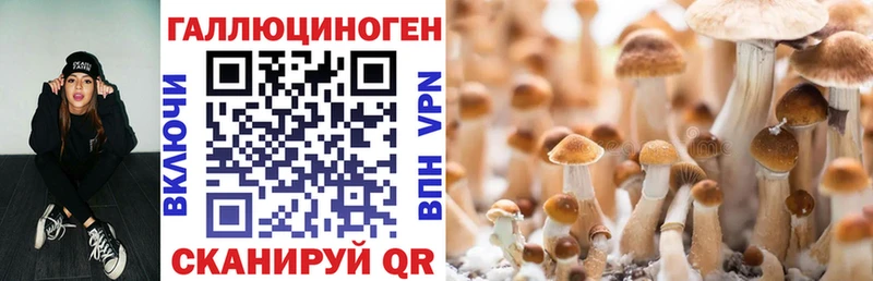 Псилоцибиновые грибы ЛСД  закладки  Верещагино 